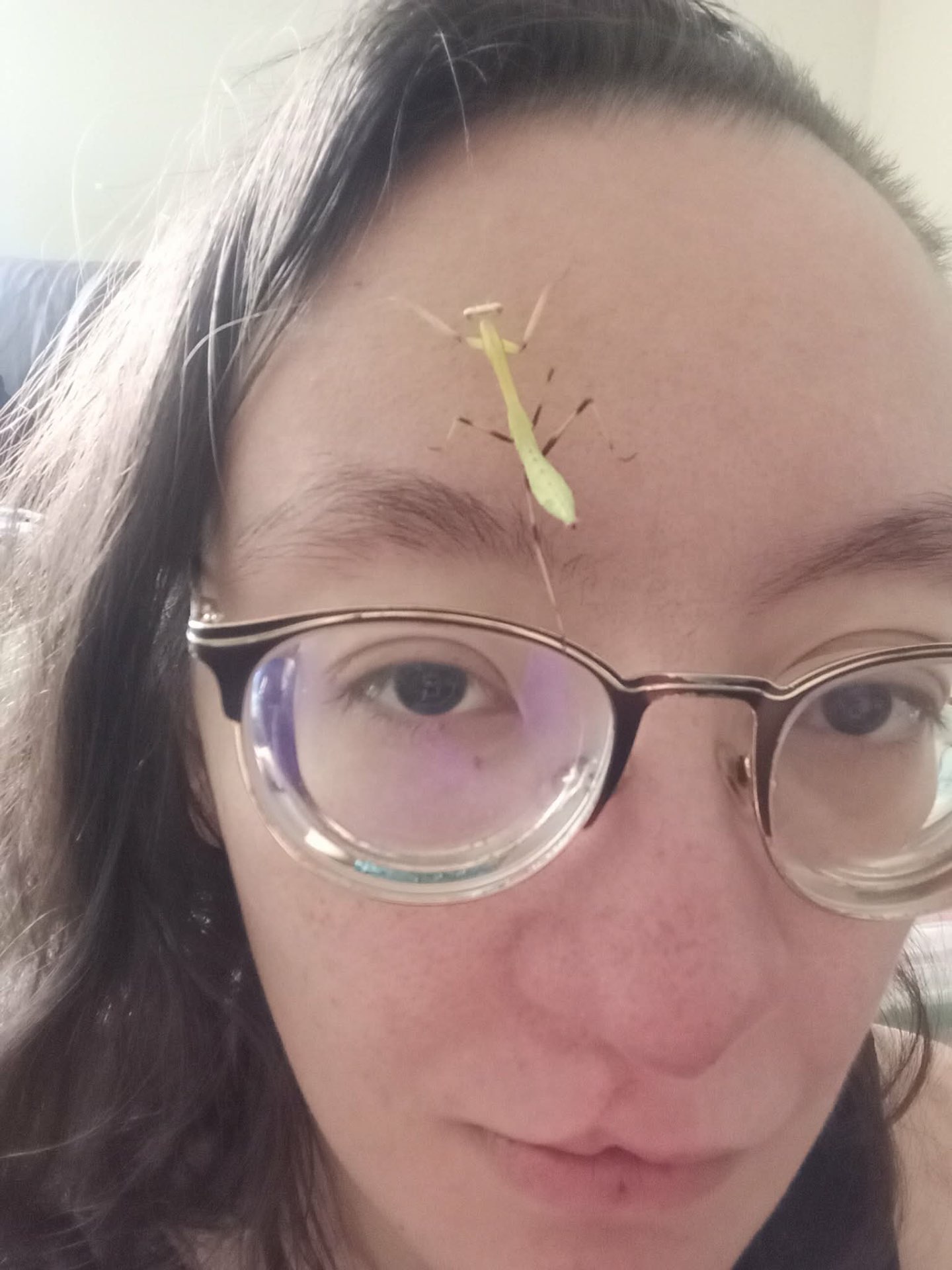 Muchtar with their pet praying mantis, Girliepop, resting on their face